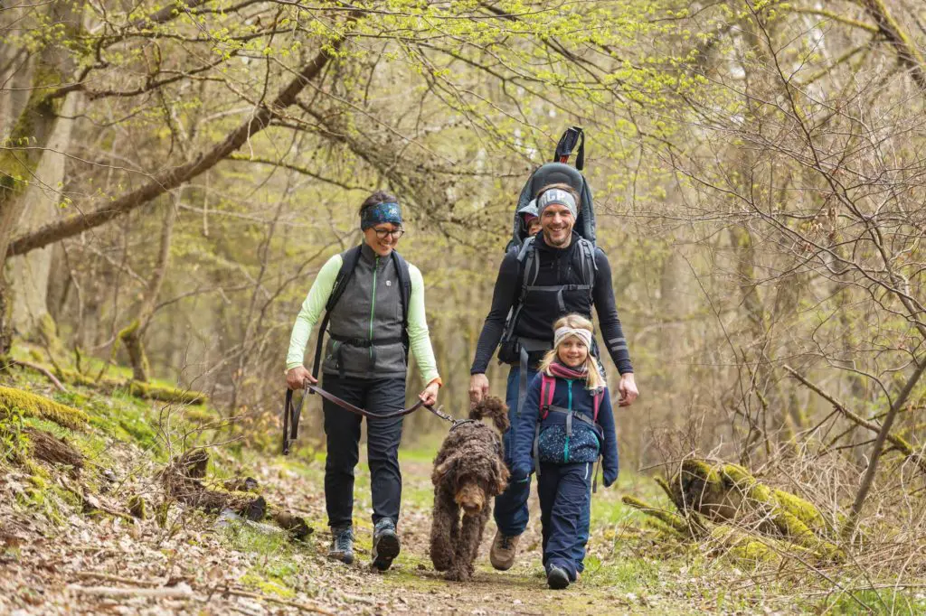 Wanderlust statt Wanderfrust – Wandern mit der Familie – Die Daudenberg-Route im Nationalpark Kellerwald am Edersee inklusive dem Warzenbeißer Kunstweg