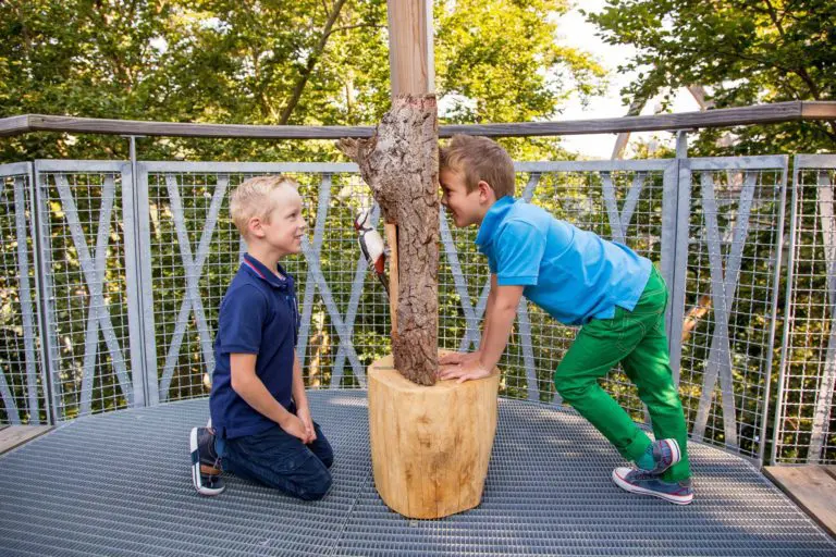 Eddies Edersee-Erlebnistour – ein Spaß für die ganze Familie. Foto: Katharina Jäger