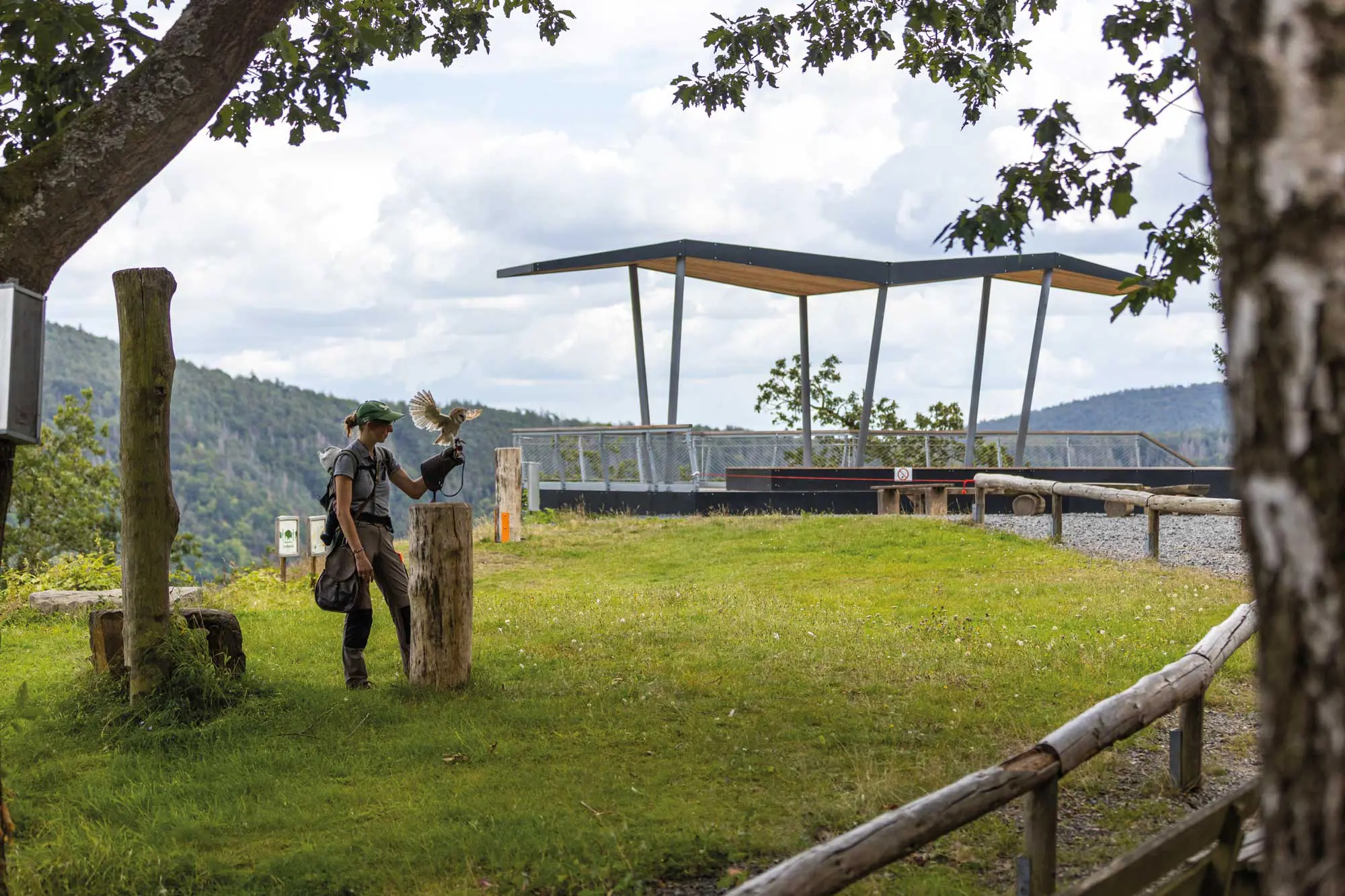 Falknerin Jana Zulauf von der Greifenwarte Wildpark Edersee lässt Schleiereule Papillionem in die Lüfte steigen. Die Greifenwarte wird vom Betreiber-Ehepaar Ludger und Margarete Kluthausen geführt und arbeitet eng mit dem WildtierPark zusammen.