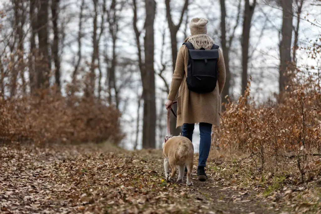 Foto: David Heise/edlake