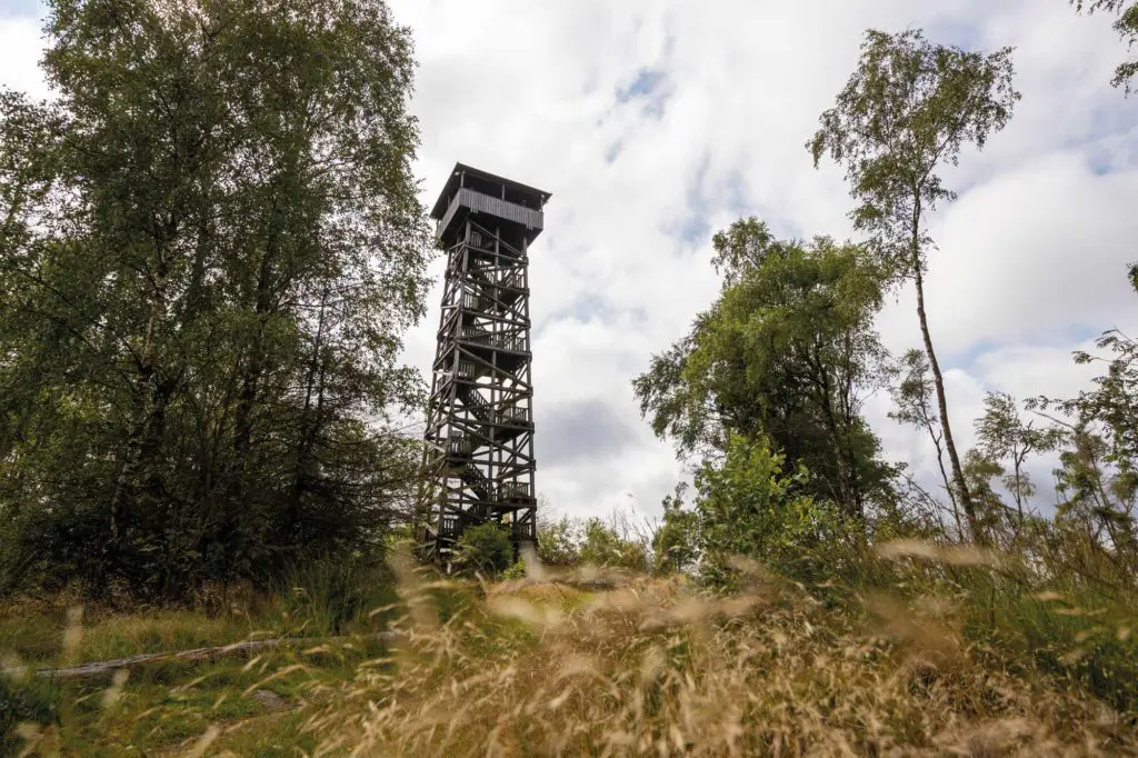 Hoch oben auf dem Wüstegarten steht er, ewig wachend über das langsam lichter werdende Blätterdach der herbstlich bunten Buchenwälder - der Kellerwaldturm. Seine Kanzel ragt weit über die immergrünen Fichtenwipfel und öffnet den Blick über die Gipfel und Täler des Kellerwaldes. Fotos: David Heise/edlake