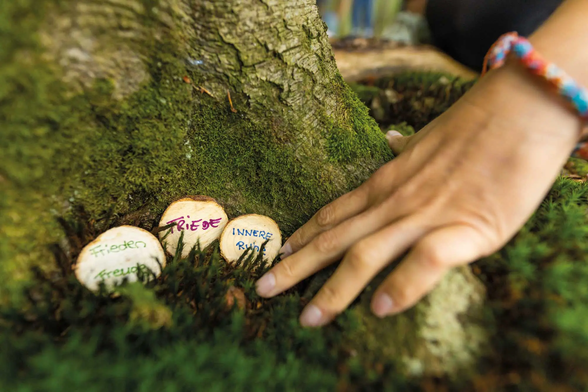Die Teilnehmer lassen ihre Wünsche im Wald, in der Hoffnung, dass diese in Erfüllung gehen. 