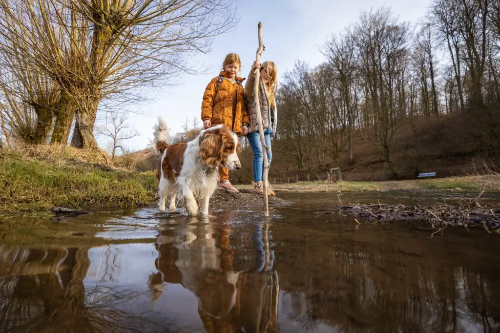 Der Bionik-Pfad im Naturpark Diemelsee