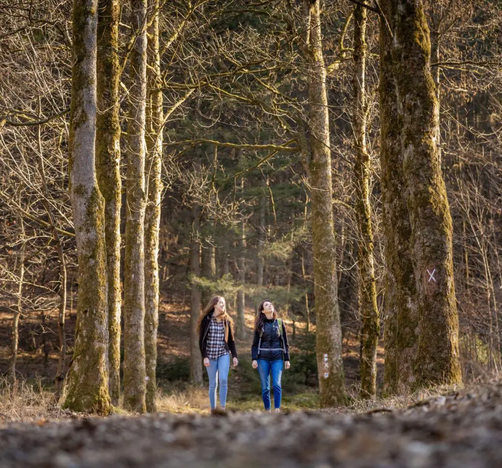 Runterkommen und entspannen – in Christenberg