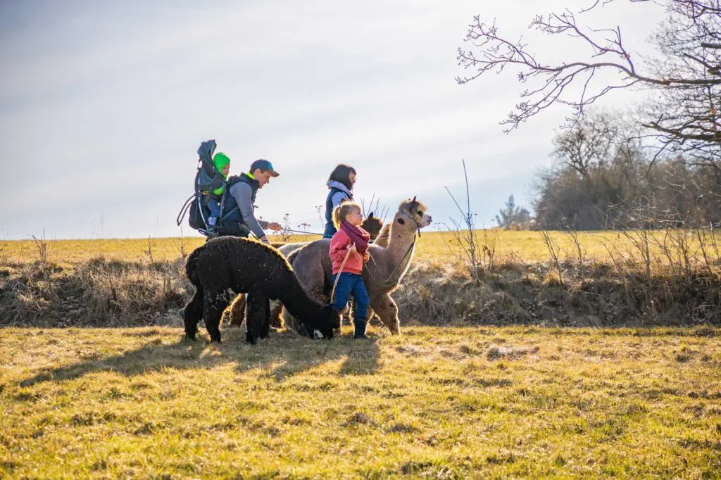 Tier-Wanderung durch die Natur im Trend – Wir nehmen euch mit auf eine Reise zun den Großmeistern der Achtsamkeit: den Tieren!