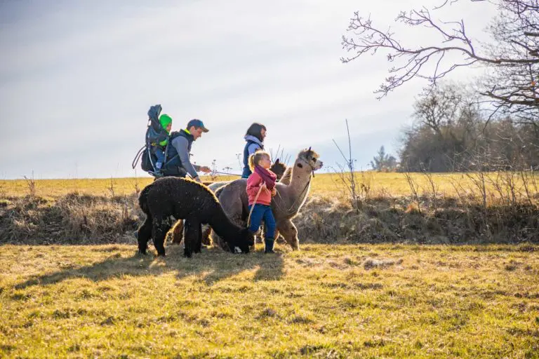 Tier-Wanderung durch die Natur im Trend – Wir nehmen euch mit auf eine Reise zun den Großmeistern der Achtsamkeit: den Tieren!