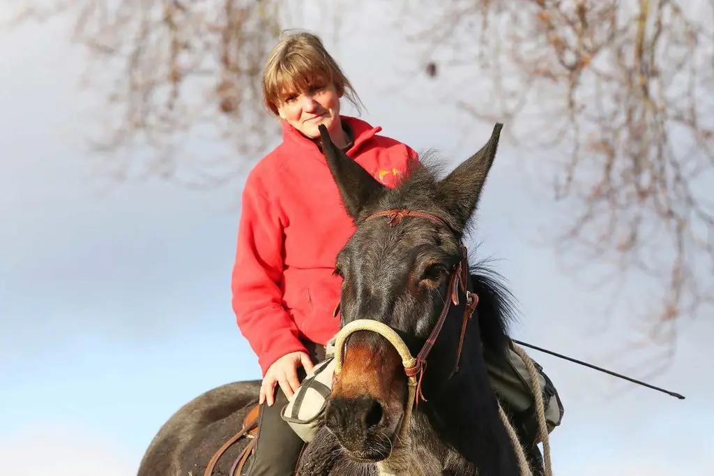 Gekommen, um zu bleiben – auf dem Maultierhof von Julia Krüger in Bad Wildungen. Foto: Anja Blum