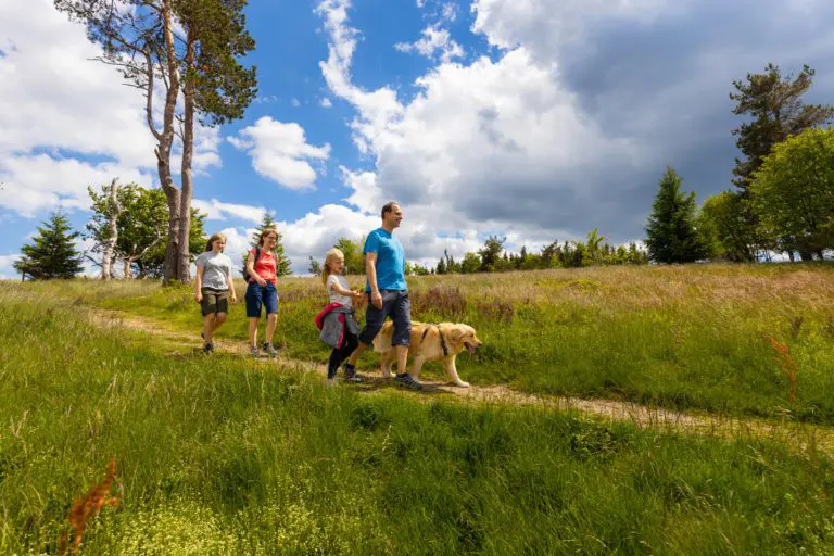 Naturweg Düdinghausen – Edlake 2022
