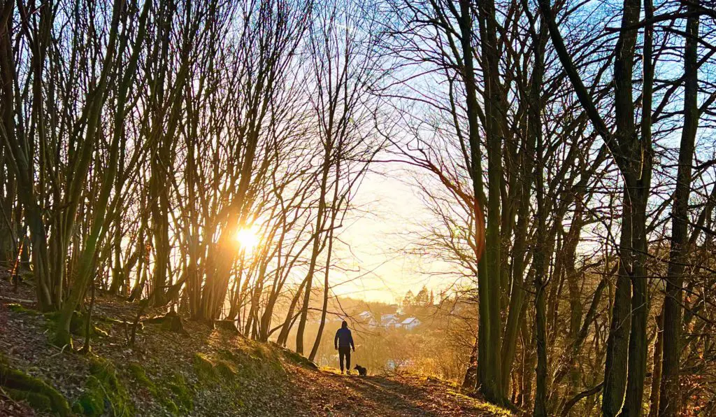 Anca Ianc aus Nieder-Werbe – edlake 2022