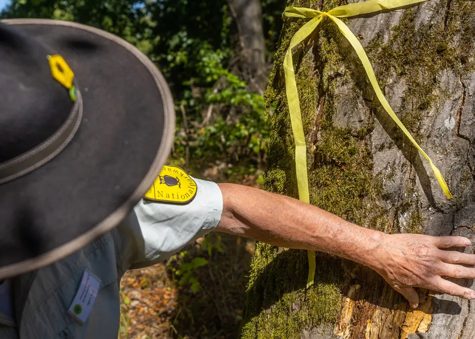 Ranger Uwe auf seiner Tour durch den Kellerwald