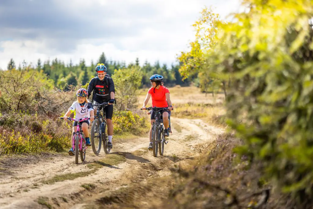 Das Mountainbike Erlebnis für die ganze Familie in Willingen 2 Auf sandigem Boden auf dem goldenen Pfad