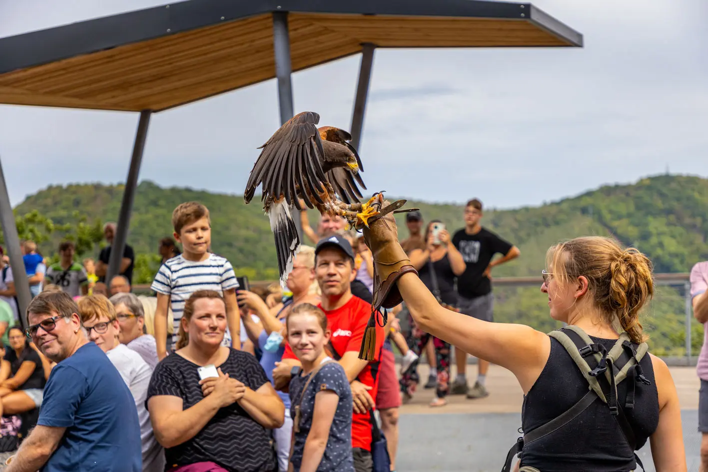 Falknerin Jana Zulauf bei einer ihrer Vorführungen in der Greifenwarte am Edersee