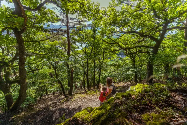 Ein Stück vom Panoramaweg St. Muffert