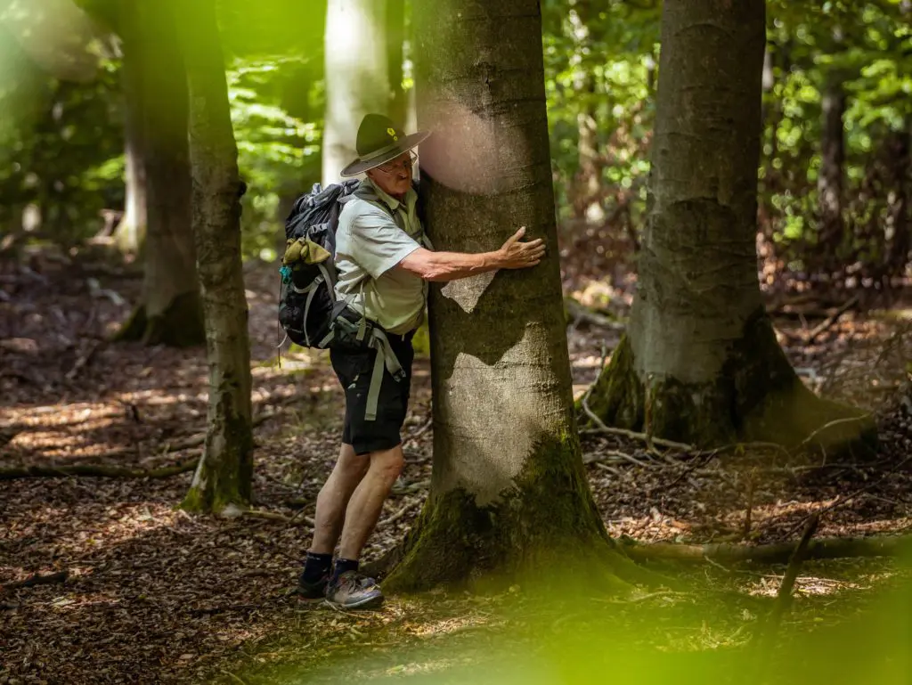 Ranger Uwe beim umarmen von Buchen im Nationalpark Kellerwald-Edersee