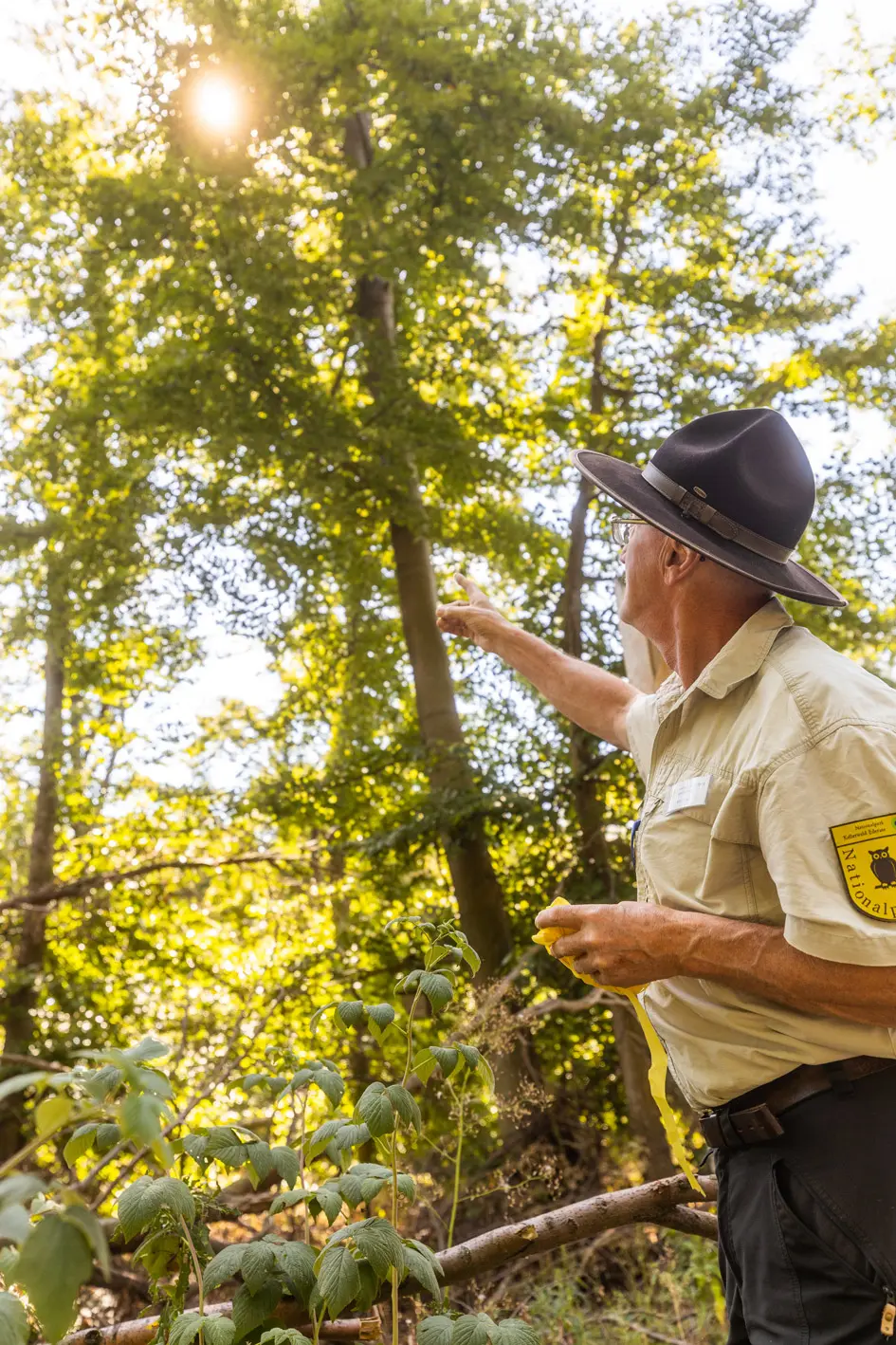 Ranger Uwe auf seiner Tour durch den Kellerwald