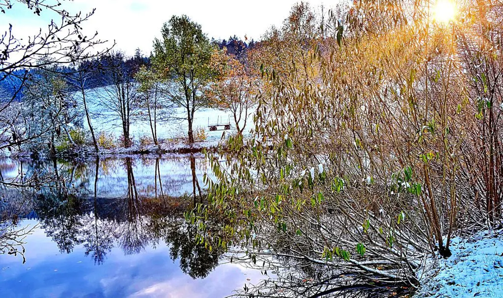 Der Knüllwald – so fabelhaft schön! 1 Premium-Spazierwanderweg „Schlossbrunnenweg – Wallenstein“