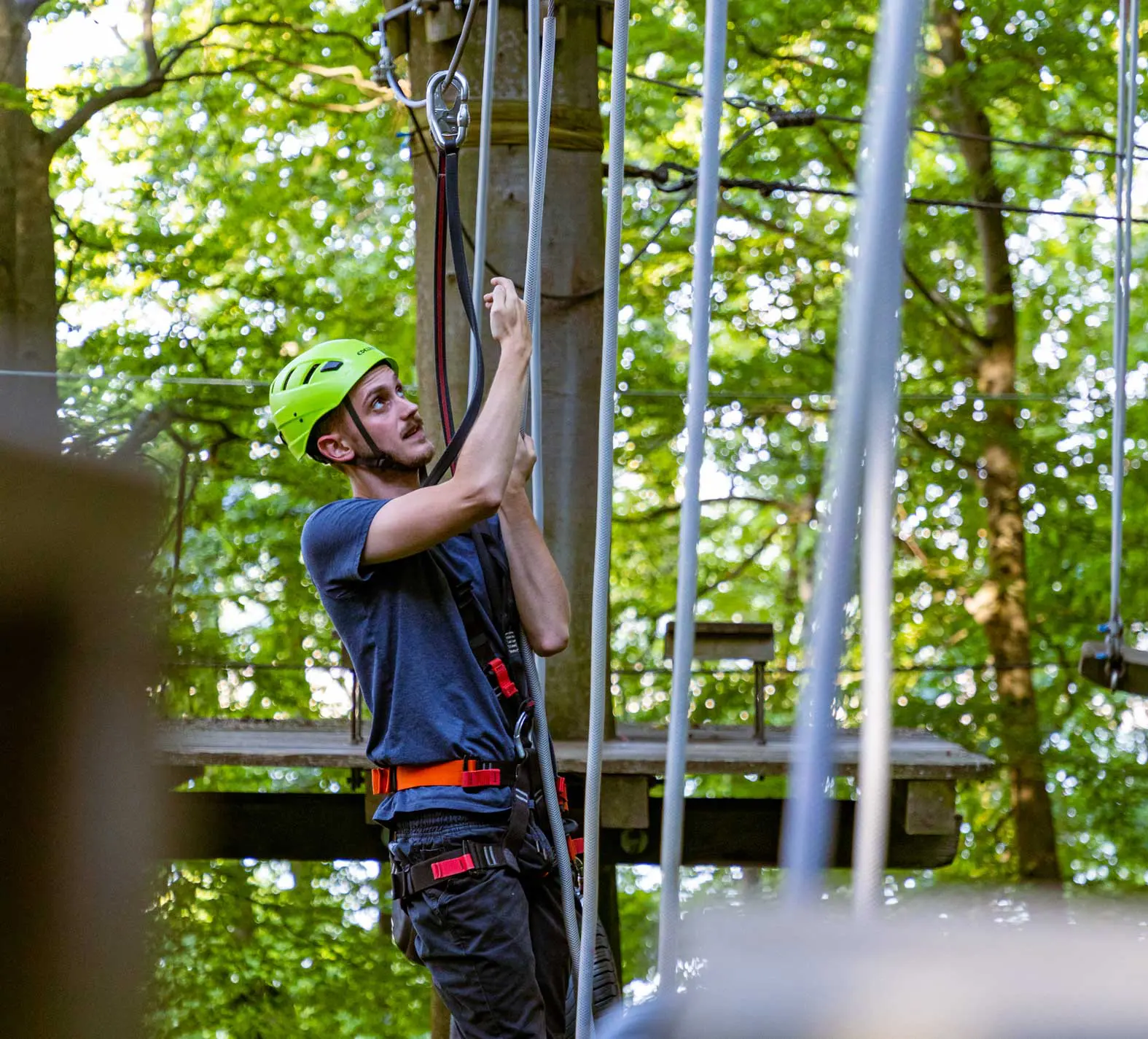 Über Seile, Hängebrücken und Leitern im Kletterwald Edersee