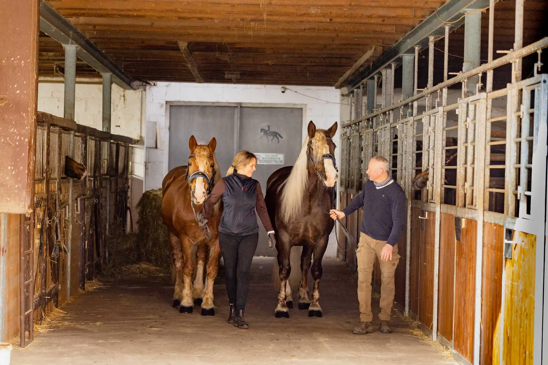 Auf dem Rücken der Pferde liegt das Glück dieser Erde 1 Wo die Märchen zuhause sind – Zum 12. Mal findet dieses Jahr der Literarische Frühling in der Heimat der Gebrüder Grimm statt. / Foto: Eva-Maria Schmidt
