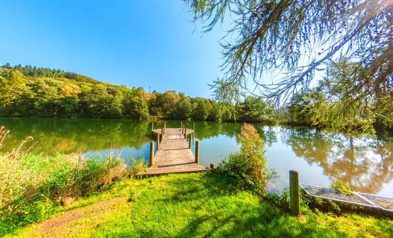 Der Böhmighäuser See bei Willingen