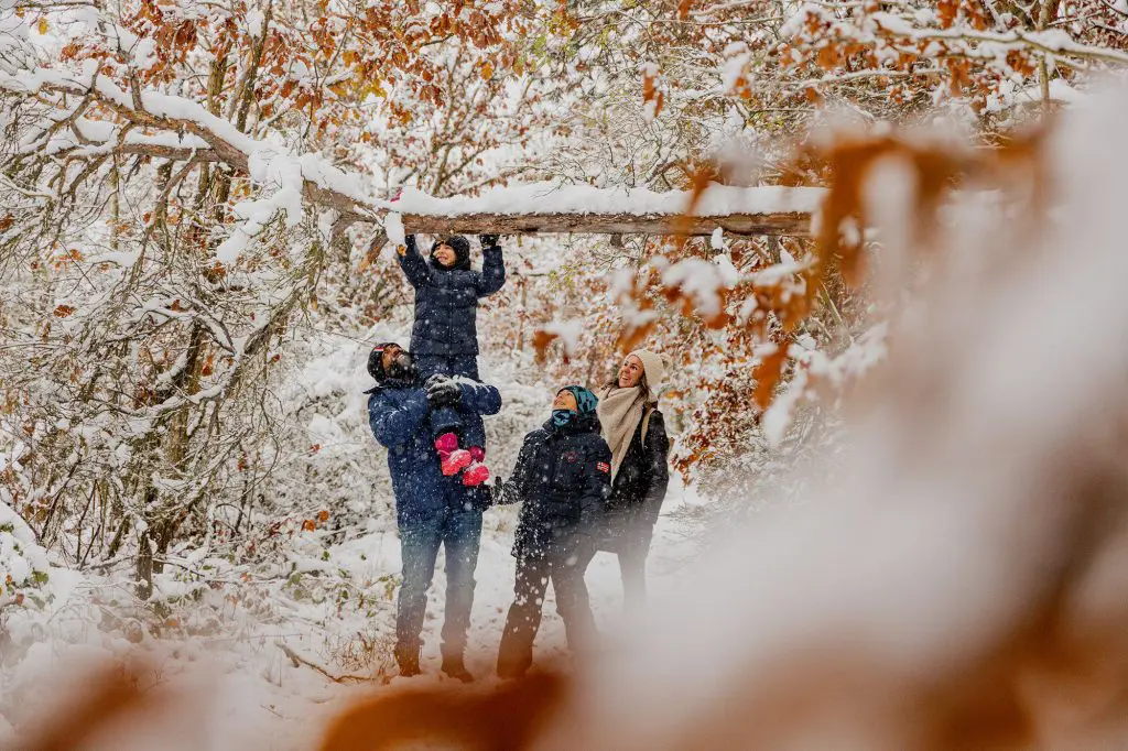 Familie wandert durch Schnee auf der Mehler Holz-Route Kellerwald. Foto: David Heise