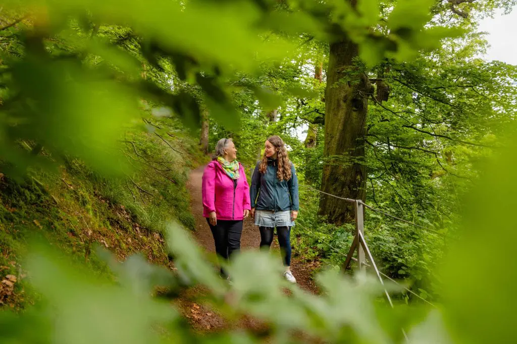 Märchenhaftes Wandern im Reinhardswald