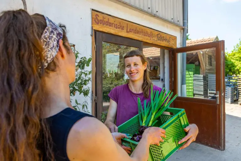 Tausch- und Geschenkekiste! Wie uns Carolin berichtete, gibt es in jeder Abholstelle auch eine „Tausch- und Geschenkekiste“. Falls also ein Mitglied zum Beispiel keinen Fenchel mag, kann es ihn entweder liegen lassen oder gegen etwas anderes eintauschen.