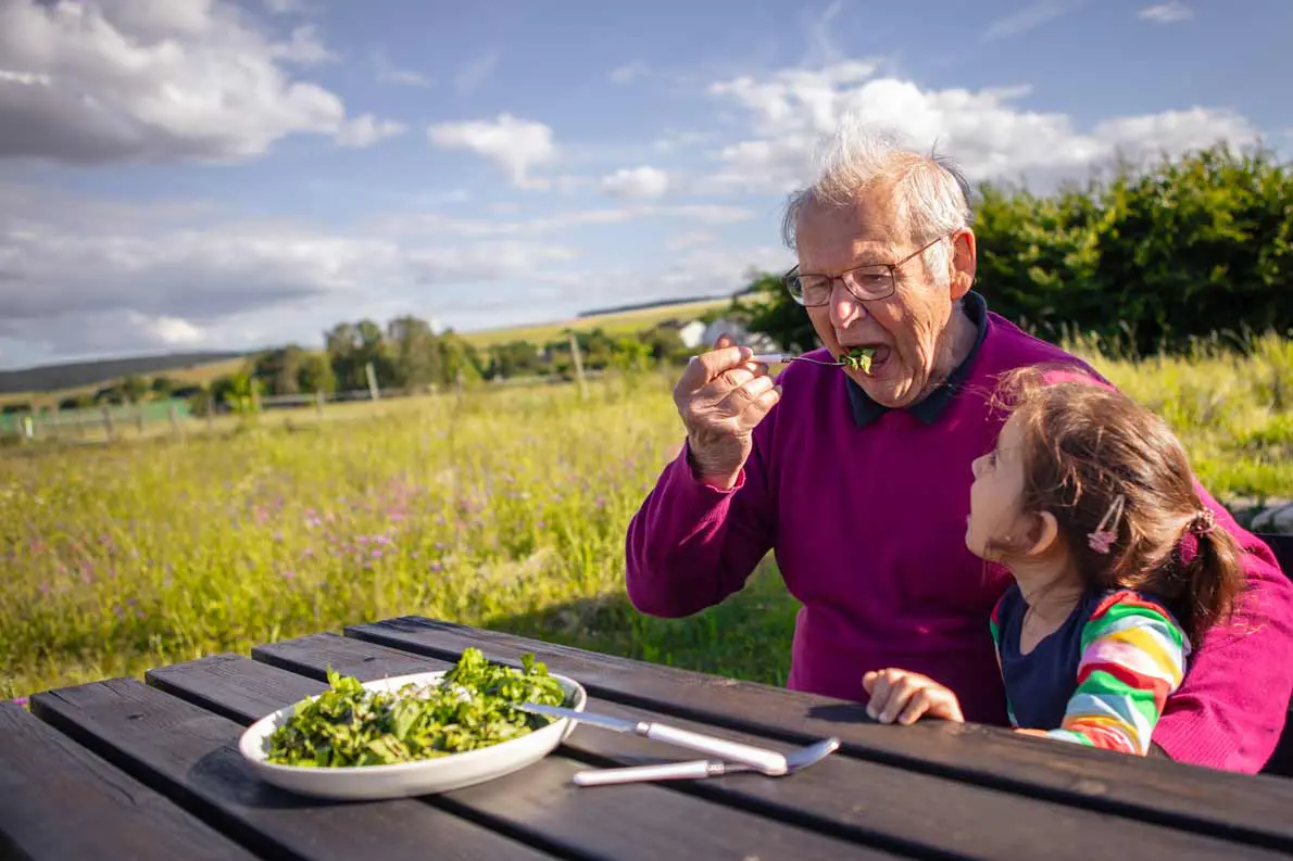Natur mit allen Sinnen erleben - Draußen bekommen wir Hunger. Gut, dass unser Salat auch richtig gut schmeckt, mit Zutaten, die du überall findest. Du musst nur die Augen offen halten.
