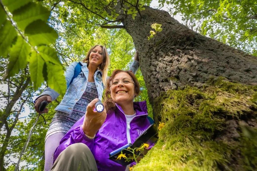 Geocaching ist eine trendige Freizeitaktivität, die immer mehr Menschen begeistert. Diese moderne Schatzsuche verbindet die Natur mit der Technologie und sorgt für spannende Abenteuer in der freien Natur. Doch was genau ist Geocaching und wie funktioniert es?