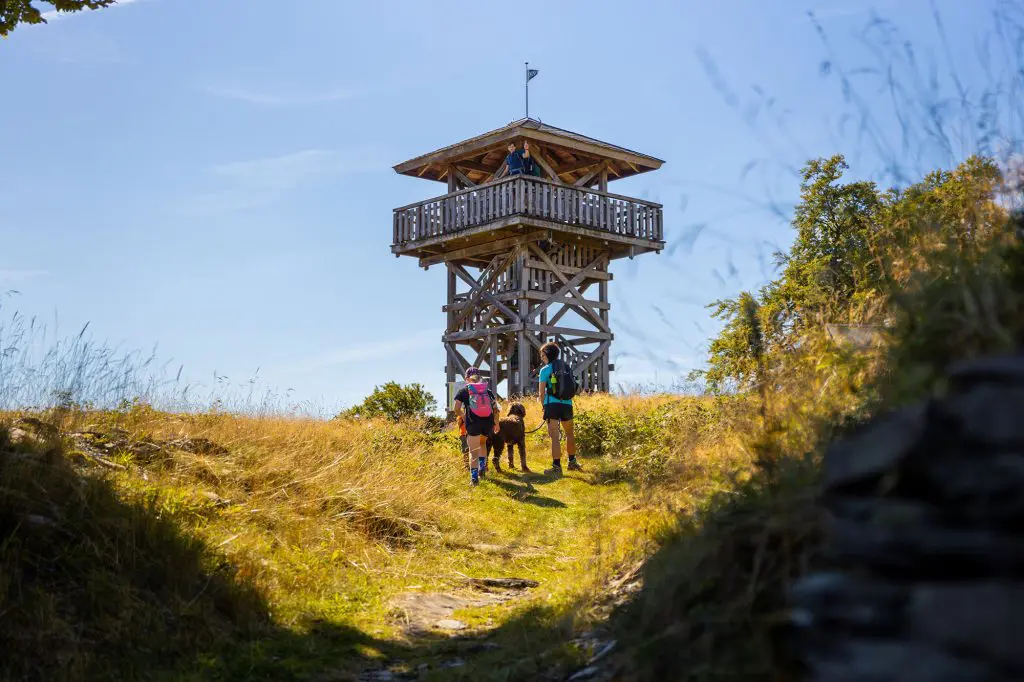 Der Trekkingpark Sauerland bietet eine perfekte Möglichkeit für Naturliebhaber und Abenteuerlustige, die Freiheit des Wildcampens in Deutschland zu erleben. Hier können Wanderer inmitten der beeindruckenden Landschaften des Sauerlands campen, während gleichzeitig der Erhalt der Natur gewahrt bleibt. Foto: David Heise