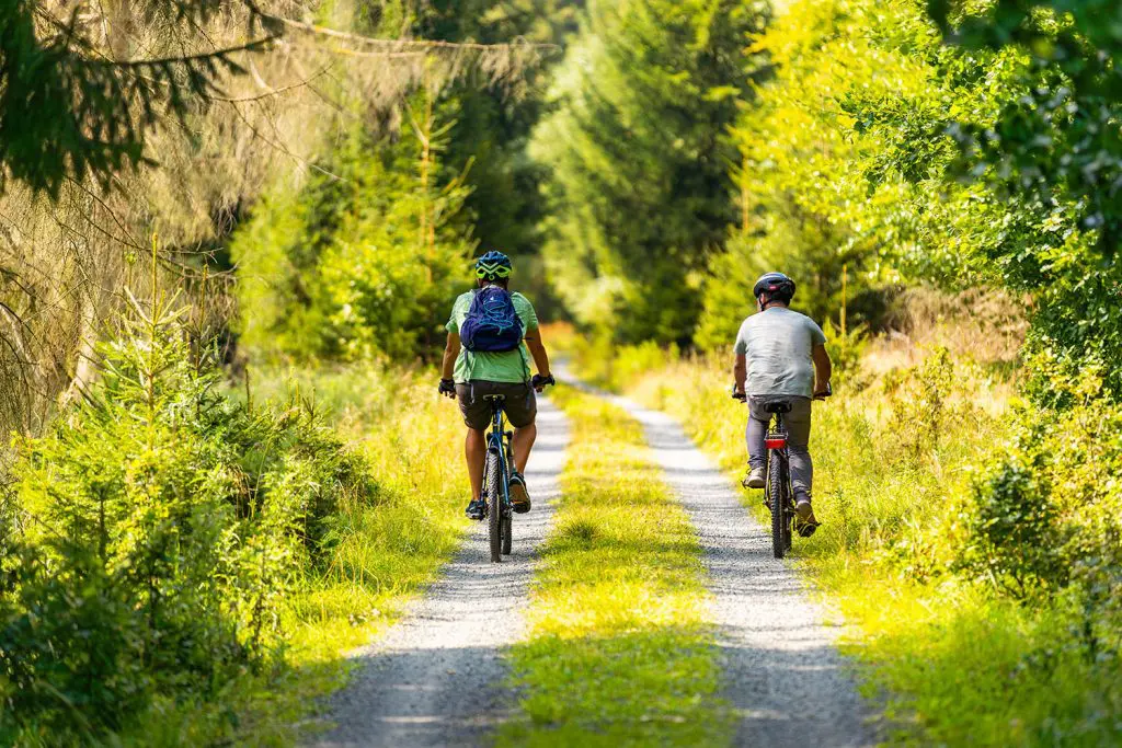 Eine spannende Radtour durch den Nationalpark Kellerwald-Edersee, wo die atemberaubende Natur, dichte Wälder und glitzernde Gewässer die perfekte Kulisse für Abenteuer und Erholung bieten.Foto: David Heise