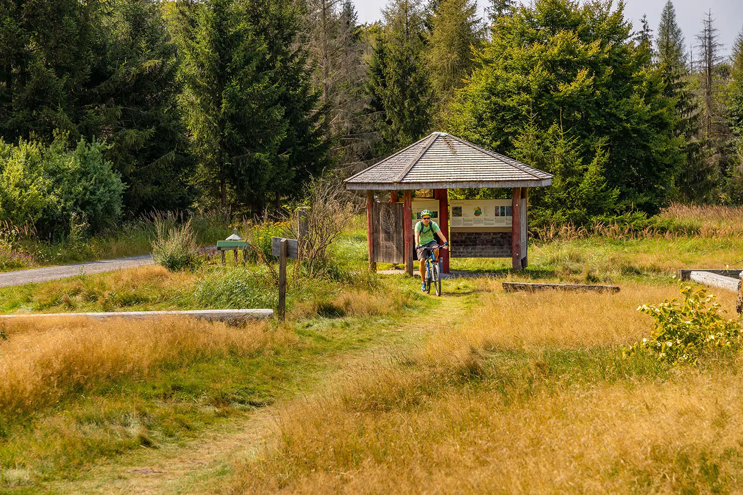 Traumhafte Radabenteuer im Nationalpark Kellerwald Edersee 2 Eine spannende Radtour durch den Nationalpark Kellerwald-Edersee, wo die atemberaubende Natur, dichte Wälder und glitzernde Gewässer die perfekte Kulisse für Abenteuer und Erholung bieten.Foto: David Heise