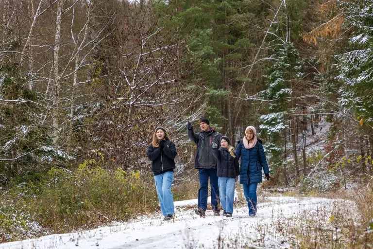Auf dem Bild ist eine Familie während ihrer Wanderung durch den Knüll zu sehen. Bei winterlichen Temperaturen und leicht verschneiter Landschaft bewegen sie sich auf einem gut ausgebauten Wanderweg durch den Wald. Die Eltern und Kinder sind warm eingepackt, einige haben Rucksäcke und tragen Handschuhe. Im Hintergrund ist der lichte Mischwald des Knüllgebirges zu sehen, während die Familie die ruhige Natur und den Ausblick genießt. Die Stimmung ist fröhlich und entspannt, perfekt für eine Winterwanderung in der Region. Foto: Marcus Brauer