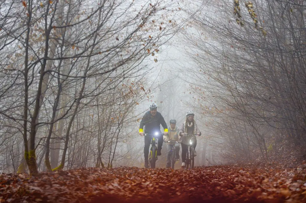 Drei Radfahrer auf ihrer Drachenflugtour durch den dichten Nebelwald bei Battenberg. Der feuchte Boden und die schneidenden Windböen begleiten sie, während sie sich bergauf durch den verschlafenen, nebelverhangenen Wald kämpfen. Foto: David Heise