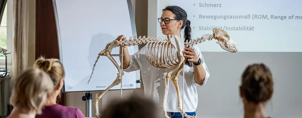 Suchergebnisse (Unternehmen) 15 Vierbeiner Reha-Zentrum GmbH