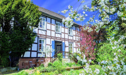 Suchergebnisse (Unternehmen)