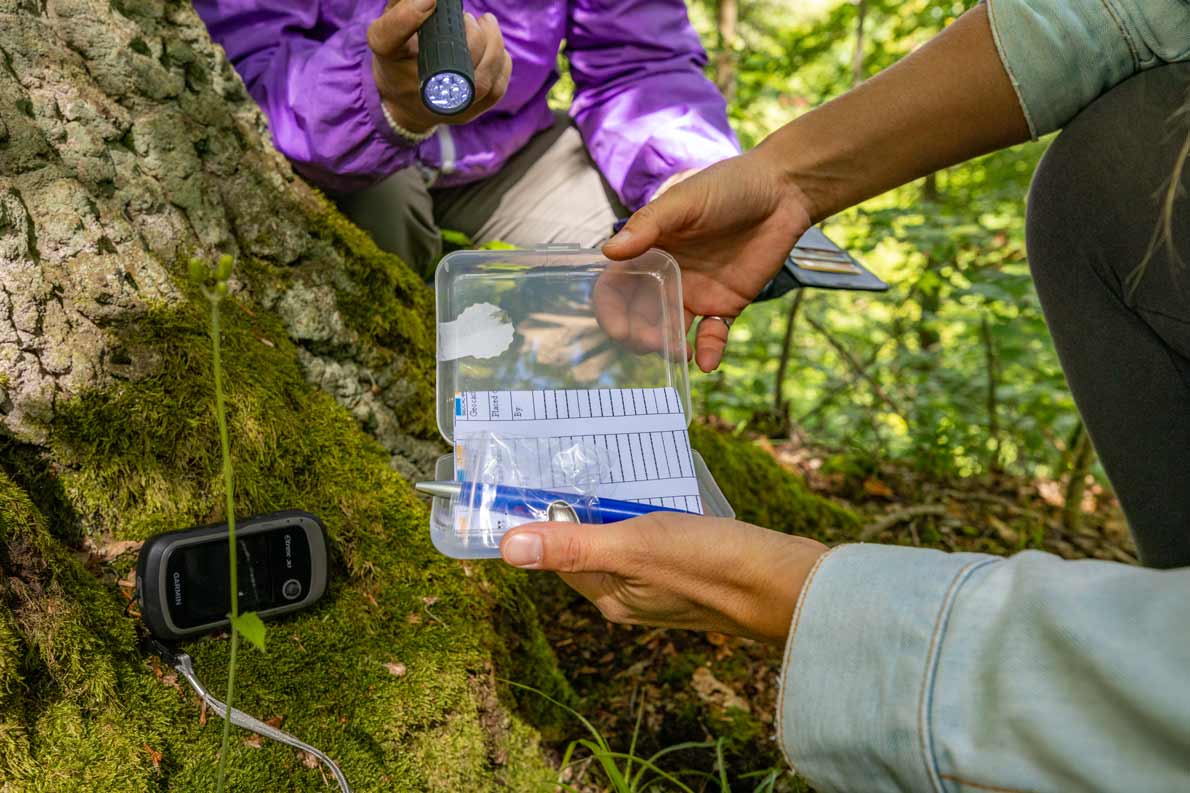 Geheimnisse wahren - Bitte achtet bei eurer Suche unbedingt darauf, dass „Muggels“, so werden NICHT-Geocacher (z.B. Spaziergänger) genannt, euch bei der Bergung eures Schatzes nicht beobachten!