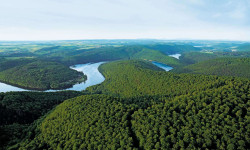 Nationalpark Kellerwald-Edersee
