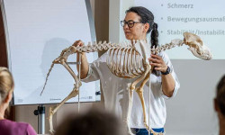 header_facebook Suchergebnisse (Unternehmen)