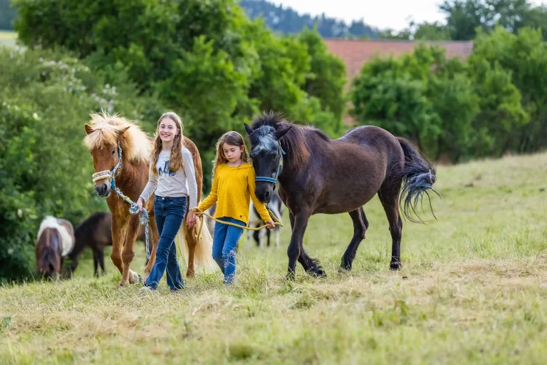 Zwei Mädchen führen Pferde an einem Führstrick über eine Wiese.