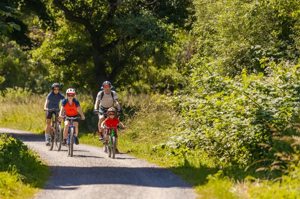 Drei Personen fahren mit kompletter Fahrradausrüstung auf einem Weg durch die Natur.