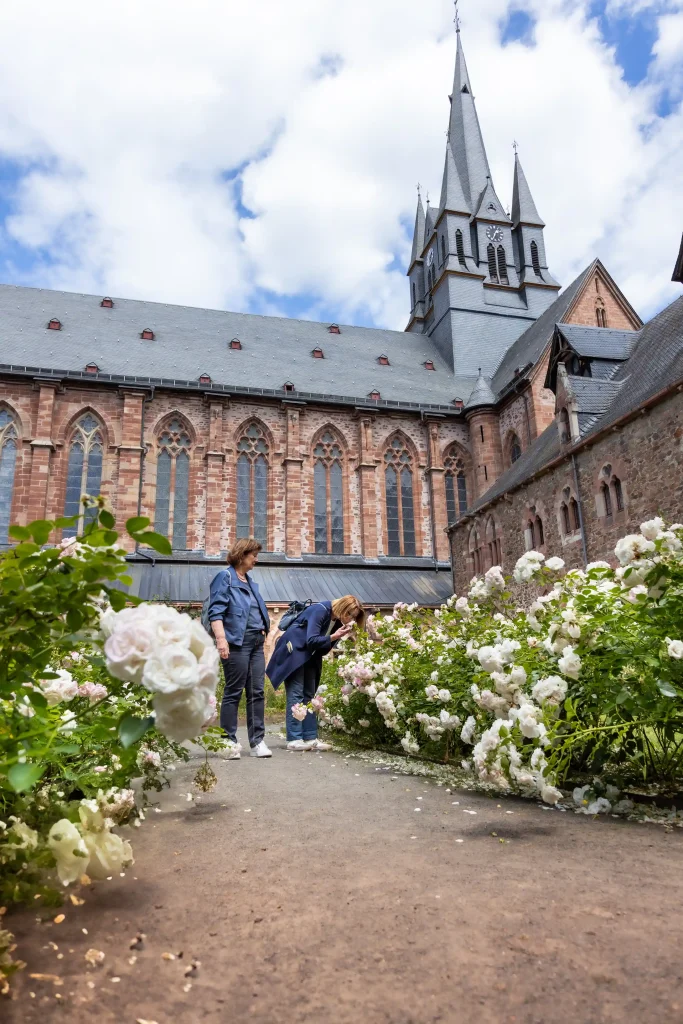 Gotische Klosterkirche von Haina mit Kirchturm, im Vordergrund der Rosengarten im Innenhof. ©David Heise