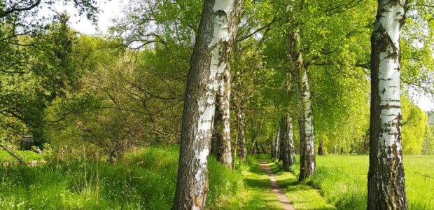 Schloss Hirschgarten GmbH