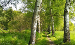 K3(3) Suchergebnisse (Unternehmen)